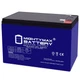 Mighty Max 12V 10AH GEL F2 Battery Compatible with Yamaha Inverter YG2800i