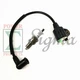 Ignition Coil Spark Plug For ETQ 900 1000 1200Watt 950 IN1000i TG1200 Generator