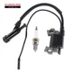 Ignition Coil For Champion CPE 46593 46596 46597 46598 196CC 6.5HP 3500W 4000W
