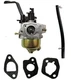 Carburetor For Simpson PowerShot SPG3645 Generator 70069 CRX 225