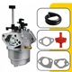 For RYOBI RY906500S 6500 / 8125 Watts Generator Carburetor & Fuel Filter Line