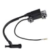 Ignition Coil Compatible With Honda GX160 GX200 30500-ZE1-073 Generator Magneto