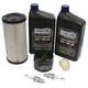 Engine Maintenance Kit for Kawasaki FX481V FX541V FX600V - 10W-40 Oil