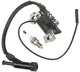 Ignition Coil For Harbor Freight Predator 4375 3200 4000 Watt Generator