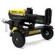 Champion Power Equipment 201091 Gas-Powered Log Splitter, 4-Cycle, 10 Gal