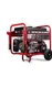 All Power America 10000 Watt Dual Fuel Generator with Electric Start,APGG10000GL
