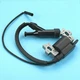Durostar Ignition Coil fit DS4000S DS4400 DS4400E DS4400S DS4000WGE DS10000E Gas
