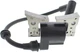 Ignition Coil Module Magneto For Coleman Powermate PM0433500 Generators 211cc