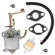 Carburetor for Champion 42432 42436 100403 100458 1400 1800 Watts 80cc 7-Ton ...