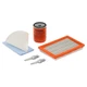 GENERAC 6484 Maintnc Kit, 990cc,Guardian Air Cooled 61HZ97
