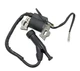 Ignition Coil Module For Honda EB2200 EG1400 X EG2500 EM1600