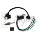 Magneto Ignition Coil Spark Switch For WEN 56105 1000-Watt 2 Cycle Gas Generator