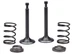 Intake Exhaust Valve Spring For A iPower AP10000E 10000 Watt Generator