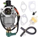 Carburetor Replacement for Honda EB5000X EM5000S EM5000SX EM5000X EW171 Gas Gene