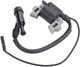 Ignition Coil For Champion 100100 100210 100157 100122 100215 76533 Generator