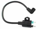Ignition Coil For ETQ 950 IN1000i TG1200 900 1000 1200 Watt 63CC 63.1CC