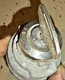 Kubota GL6500 key switch 15377-63610