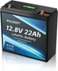 12V 22Ah LiFePO4 Lightweigh Battery with Display for RV Solar Camping UPS Power