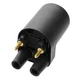Black Ignition Coil Fit For Onan P218G P220G P224G Replace For 166-0820 541-0522