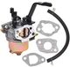 Carburetor Carb For DuroStar DS4000S DS4400 DS4400E DS4400S 4000/4400W 7HP Gener