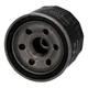 ASHIKA 10-0M-M02 Oil Filter for SMART