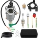 Generac Power 5946 GP6500 6500 13hp 389cc Generator Carburetor Carb