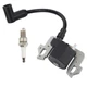 Ignition Coil Module Fits HONDA GCV160 GCV135 GC135 GC160 Engine 30500-ZL8-014