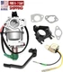 Carburetor For Champion 459cc 9200 11500 Watt Generator Model 100110 Carb