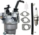 OEM Carburetor kit Compatible with DEWALT DXGNR6500 6500/8750W Gas Generator Rep