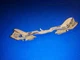 68320-ZA7-000 mount bracket  honda ex800 generator