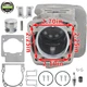 Cylinder Piston Kit Fit RedMax EBZ6500RH EBZ7500 577-2573-01 576-5894-01 Blower