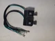2 PC ETQ  950 1000 1200 Watt Generator Magneto CDI Assembly Type B