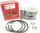 NEW PISTON KIT WITH RINGS FITS HONDA GCV160 GCV135 REPLACES PART # 13101-ZL8-000