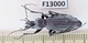 F13000. Insects, Carabidae: Carabus sp. Vietnam North