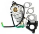 Carburetor For Wacker Neuson GP5600A GPS5600A Generators