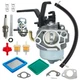 592929 Carburetor set for Troy Bilt 6250 8500 Watts Generator 030594 030594A