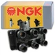 NGK 48806 U2029 Ignition Coil for ZZM7-18-100 ZZL0-18-100 KLG4-18-100A jk