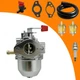 Carburetor w/ Spark Plug Replacement For Craftsman 4200Watt Generator 580.327140