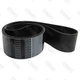 V Ribbed Belt 3629256 23PK1905 for Cummins KTA50 K50 KTA50-G3 G50 K50-DPM