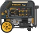 Firman 4,550-W Portable RV Ready Dual Fuel Powered Generator with Electric Start