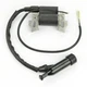 Ignition Coil For Harbor Freight Predator 63079 96838 96898 4000 Gas Generator