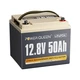 Power Queen 12V 50Ah LiFePO4 Lithium Battery BMS For Fish Finder Boat RV Camper