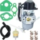 P16D-1 Carburetor for A-iPower SUA2300i, Ryobi RYI2322VNM, Champion 73536i