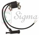 Ignition Coil For Champion 208CC 224CC 3500/4375 3550/4450W 3650/4500W Generator