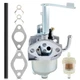 Carburetor w/ Fuel Filter Gasket for Homelite A100626 HG5700 HGCA1400 Carburetor
