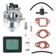 Carburetor for Honda GCV170LA HRN216 HRX217 Models Engine, Carb with Tune-Up 