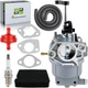 RY906500S Generator Carburetor For RYOBI 6500 8125 Watts with Gasket 