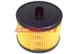 FAST FT39076 Fuel Filter for Citroen, Fiat, Ford, Lancia, Peugeot, Volvo
