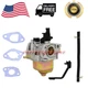 Carburetor For Champion CPE 46493 46596 46597 46598 46558 46561 46596 46533 Gas