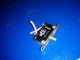 38240-ZA7-000 protector 12amp for panel  honda ex800 generator